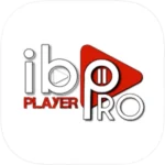 Ibo pro player